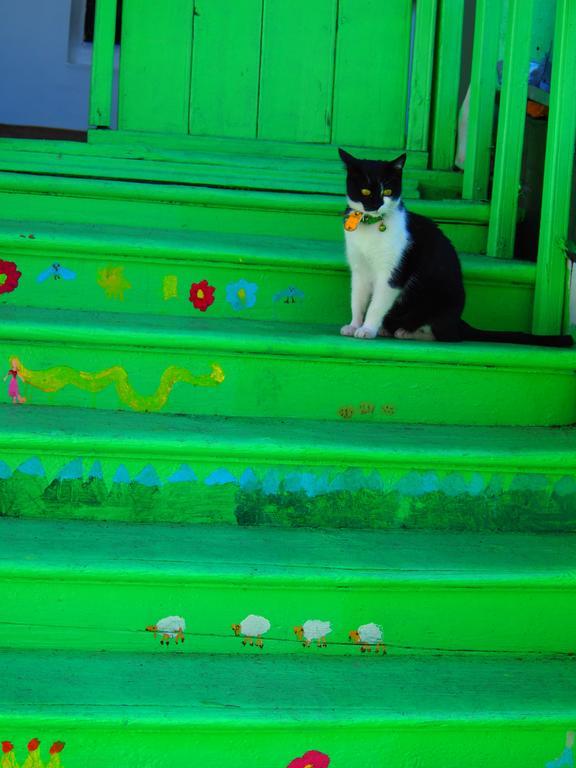Green Stairs Guest House Tiflis Dış mekan fotoğraf