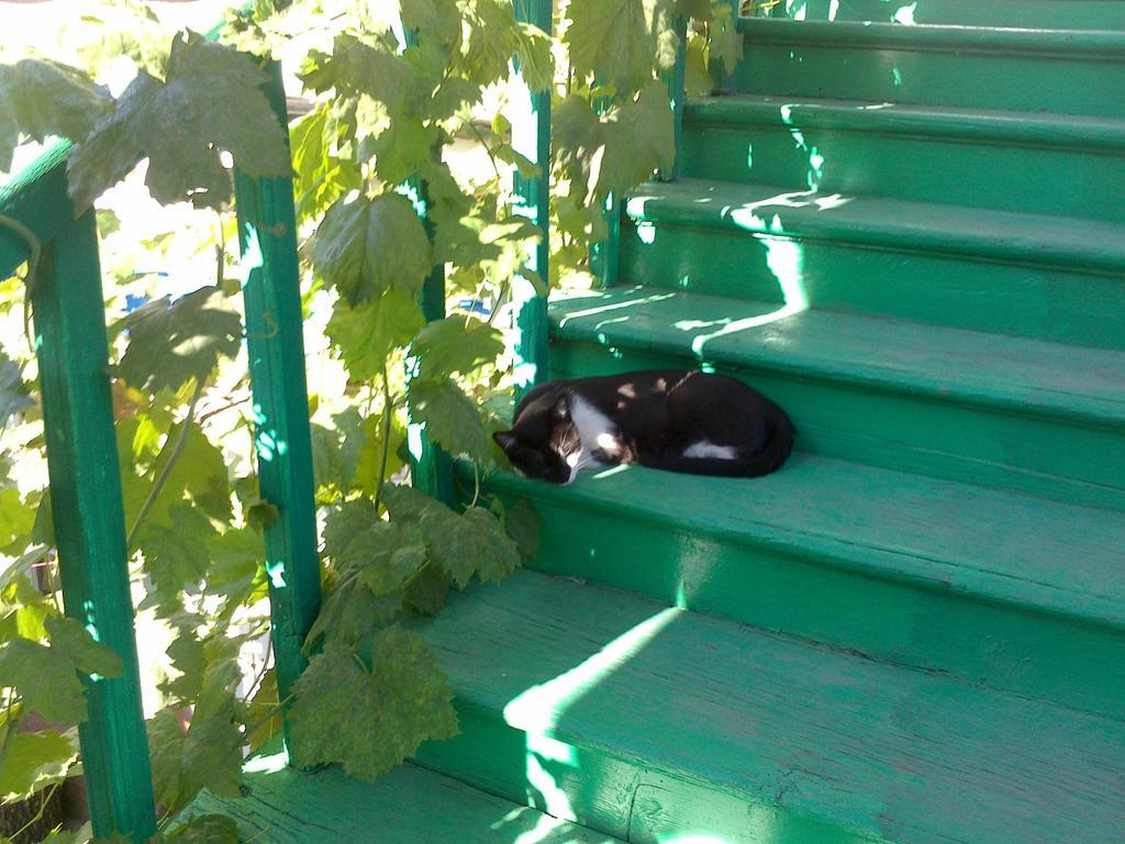 Green Stairs Guest House Tiflis Dış mekan fotoğraf