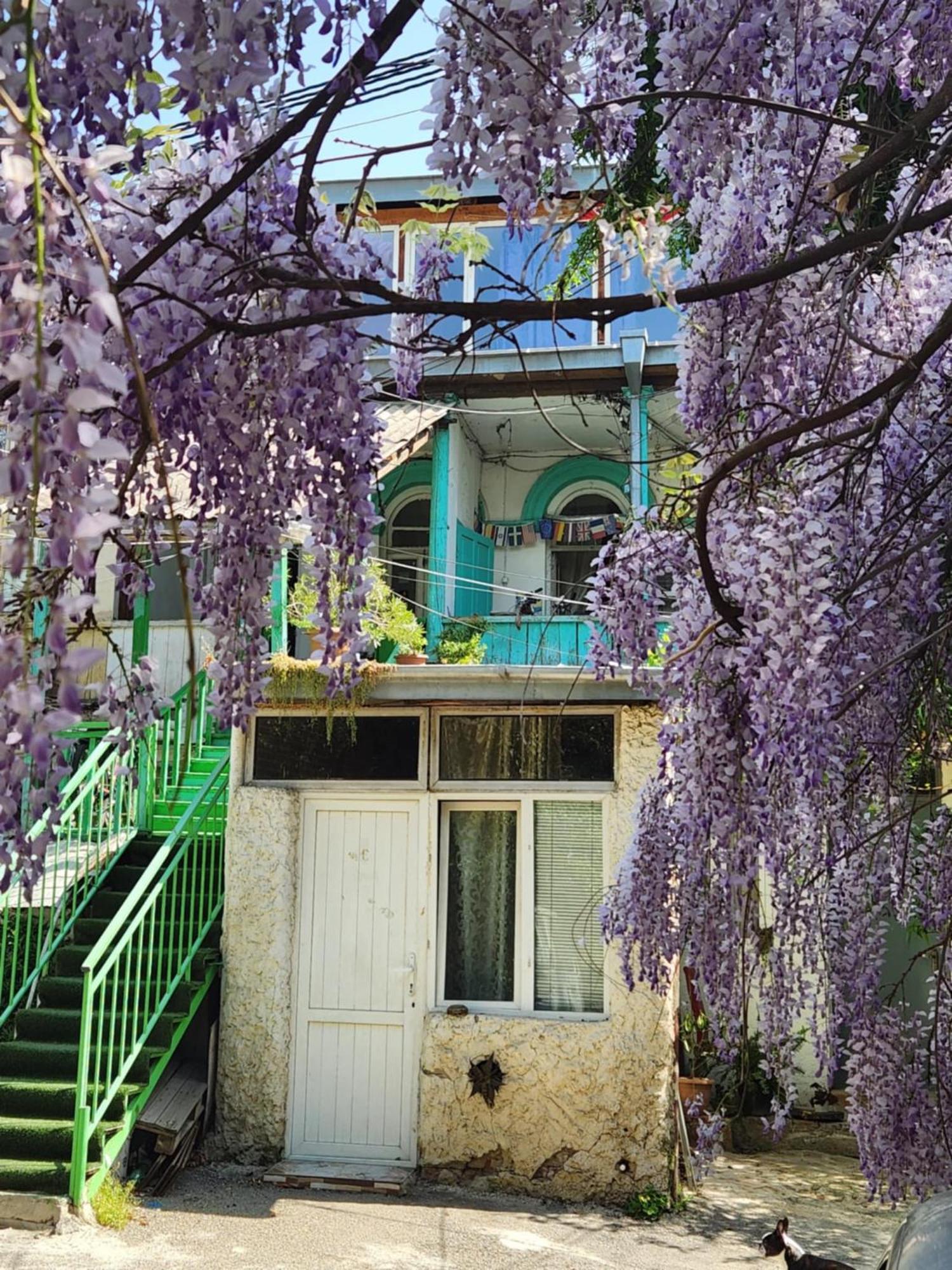 Green Stairs Guest House Tiflis Dış mekan fotoğraf